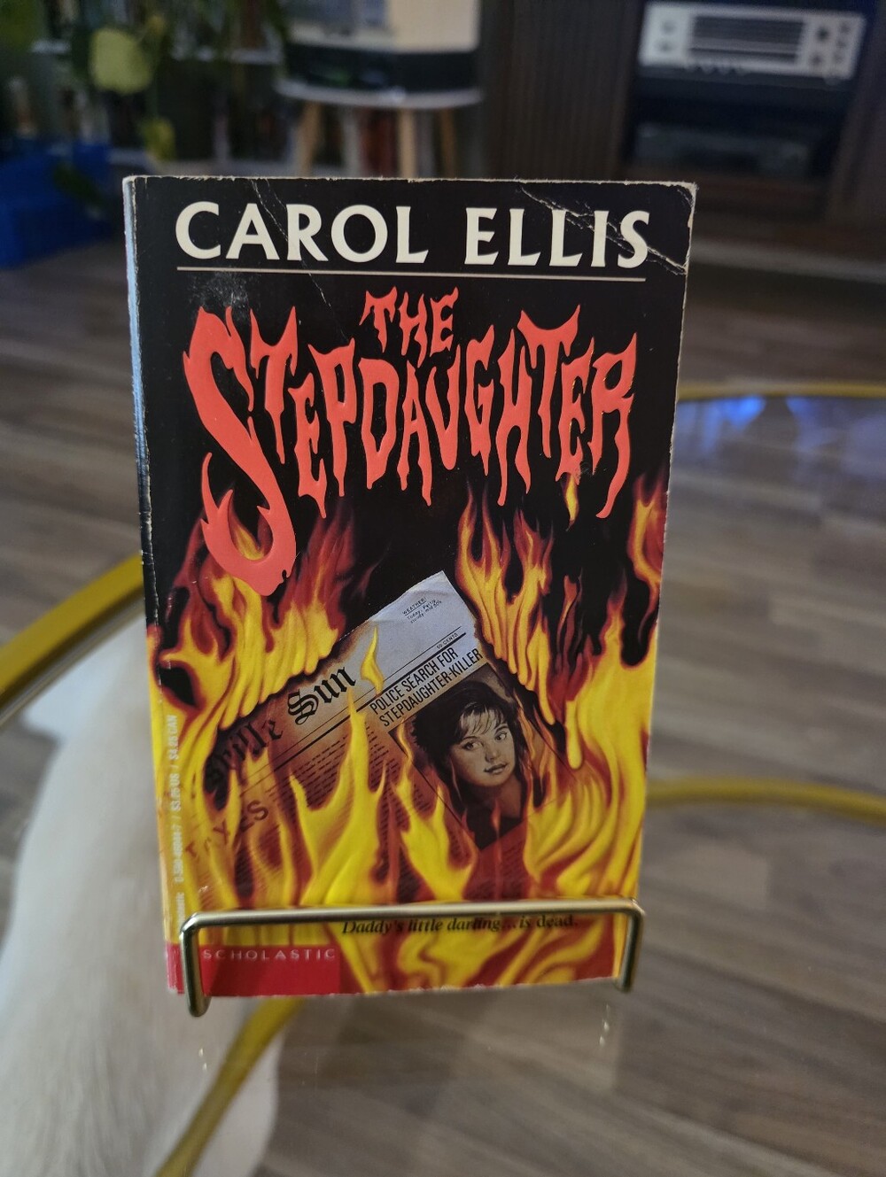 The Stepdaughter Paperback